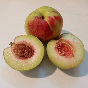 Brugnon de vigne blanc