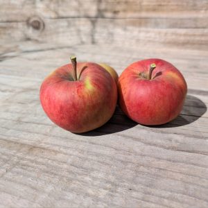 Pommier Rose de Berne