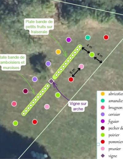 Exemple de plan d’implantation de verger sur photo aérienne
