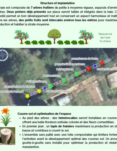 Plan de plantation verger avec distances et organisation